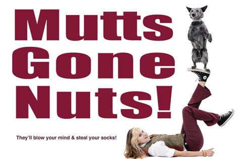 Mutts gone nuts - Danielle Davies. Apr 24, 2023. 0. Dog lovers won't want to miss the incredible (and hilarious) antics of the canine performers in 'Mutts Gone Nuts.' Danielle Davies. If you’re a dog …